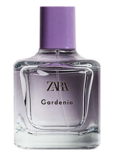 zara gardenia parfum|zara gardenia perfume price.